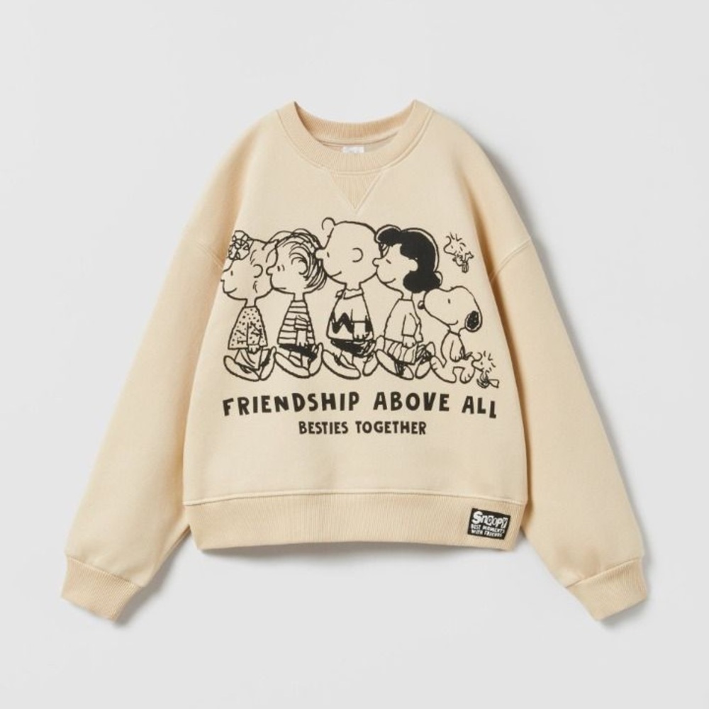 🍋ZARA Pullover🍋